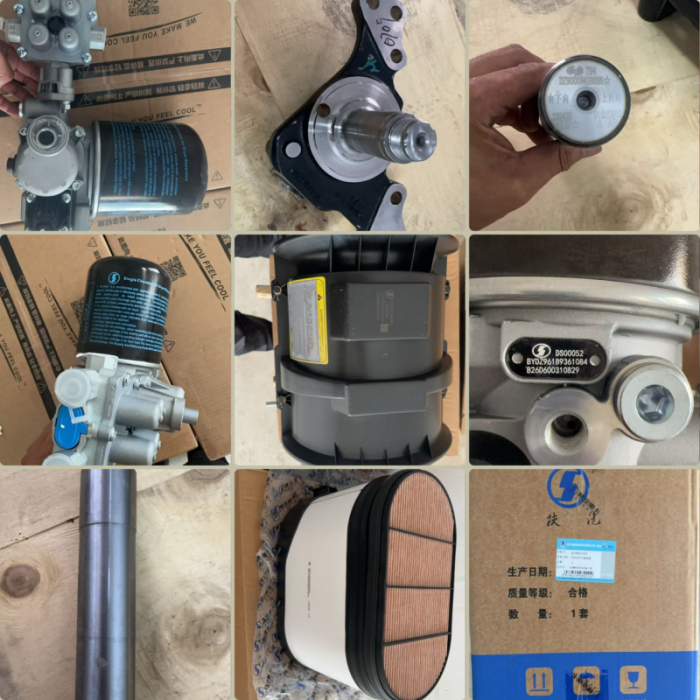 Mauritius Auto Parts Giant Orders Genuine SHACMAN Spare Parts, Prima spedizione spedita cù ordini di seguimentu pianificatu