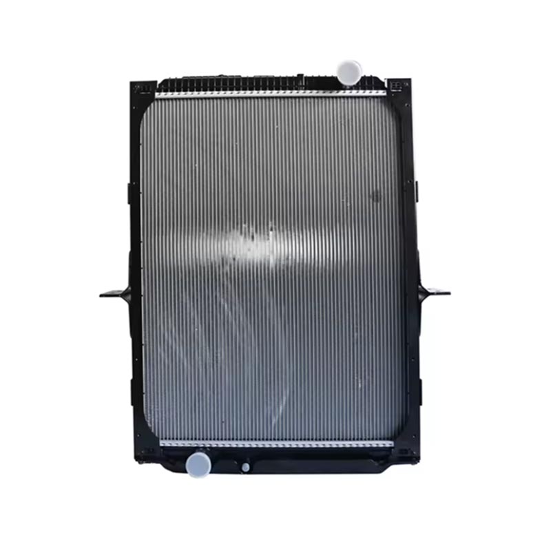 Radiatore d'Accessori di Motore DZ91125328