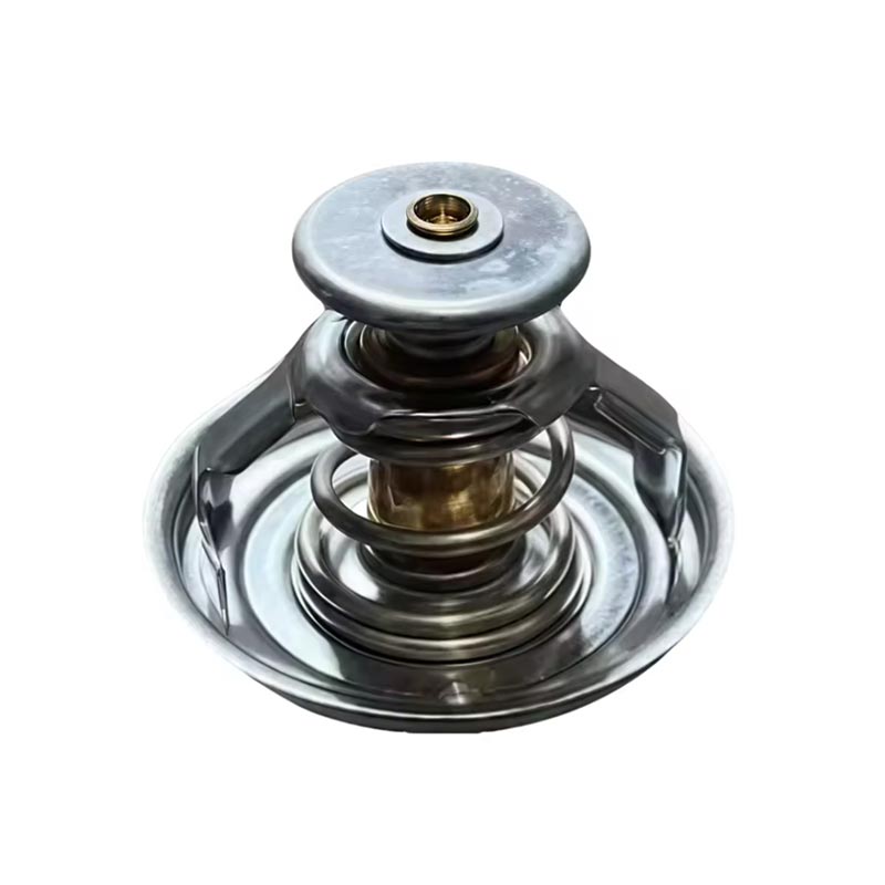 Termostatu di u Motore di Camion 1000837830